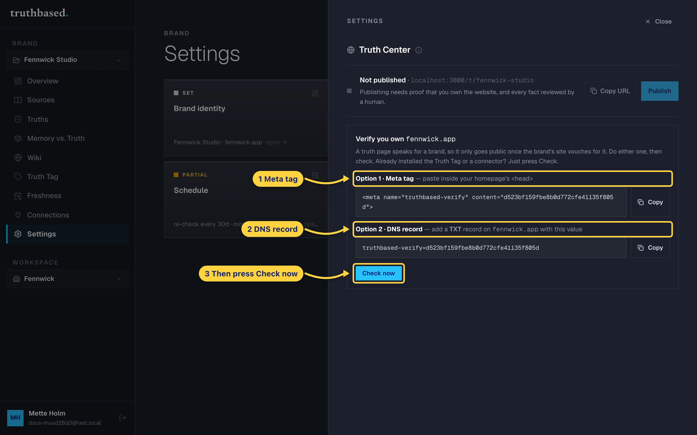 The Truth Center drawer: Option 1, the meta tag. Option 2, the DNS record. Then Check now.